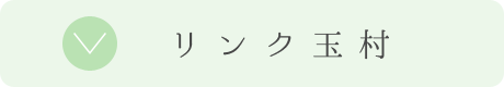 リンク玉村